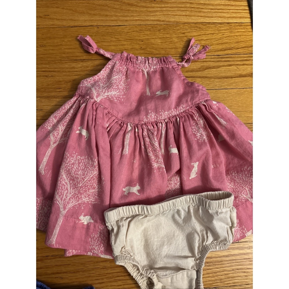 Baby Gap 0-3 Months Beatrix Potter Baby Dress Pink Rabbit Bunny Easter Trees